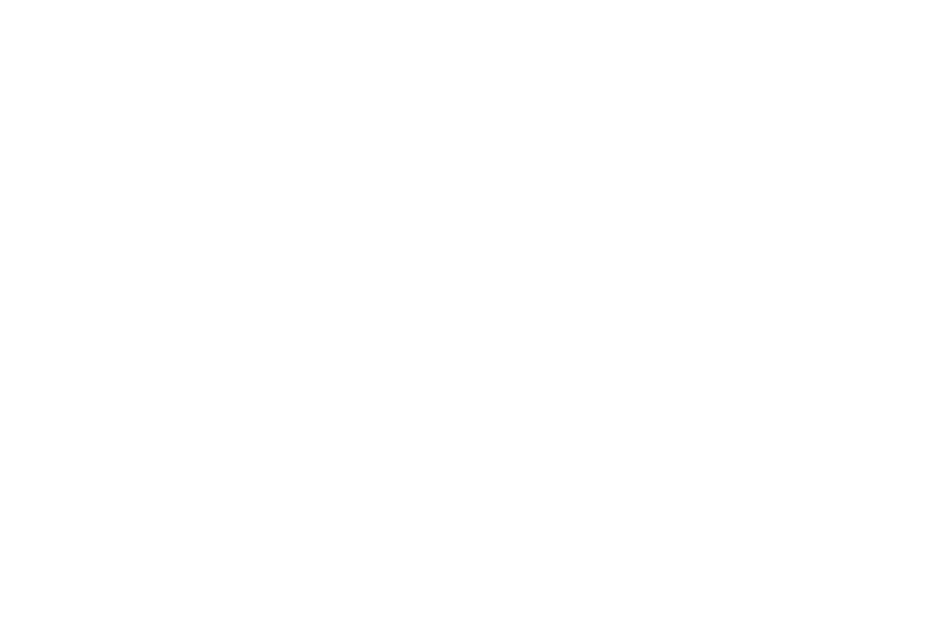 The Fireplace Store Logo 2024 1c White